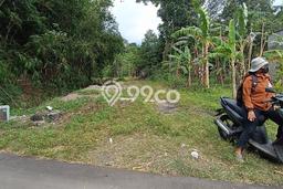 Tanah Strategis Dijual di Prambanan Klaten 428m2 Tanah Strategis Dijual di Prambanan Klaten 428m2