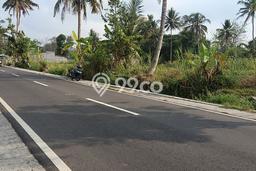 Tanah Kosong Dijual di Sleman dengan Area 724m2 Tanah Kosong Dijual di Sleman dengan Area 724m2