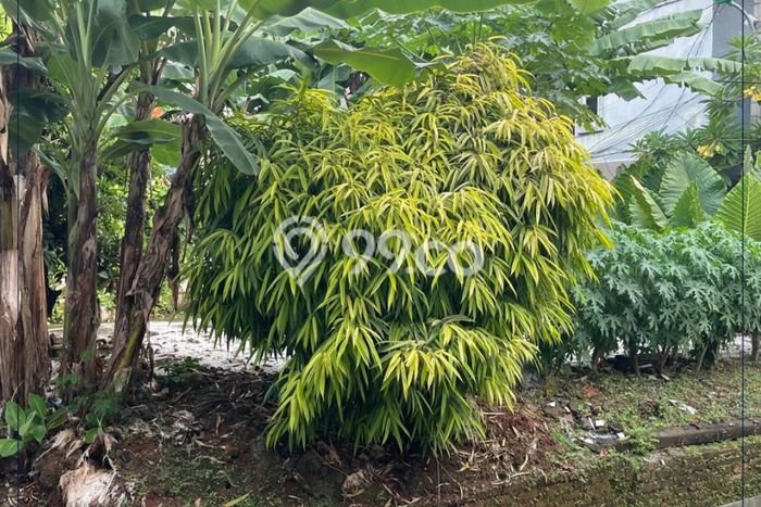 Tanah Dijual di Jakarta Barat Seluas 288m2 Strategis Tanah Dijual di Jakarta Barat Seluas 288m2 Strategis