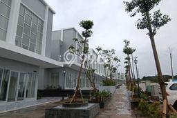 Ruko untuk disewa di Tenjo punya LT 83m2 & LB 93m2 harga sewa kompetitif Ruko untuk disewa di Tenjo punya LT 83m2 & LB 93m2 harga sewa kompetitif