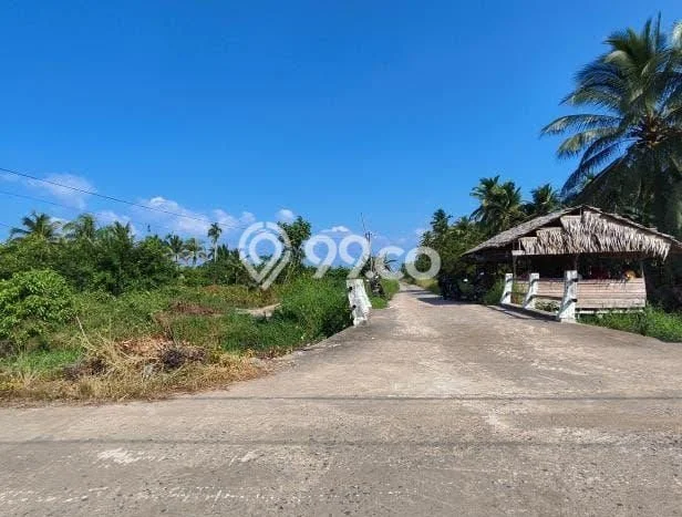 Jarang Ada! Tanah di Mempawah Hilir Punya Luas 26570m2 SHM Jarang Ada! Tanah di Mempawah Hilir Punya Luas 26570m2 SHM