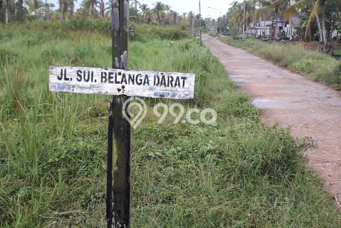 Jarang Ada! Tanah di Mempawah Hilir Punya Luas 26570m2 SHM Jarang Ada! Tanah di Mempawah Hilir Punya Luas 26570m2 SHM
