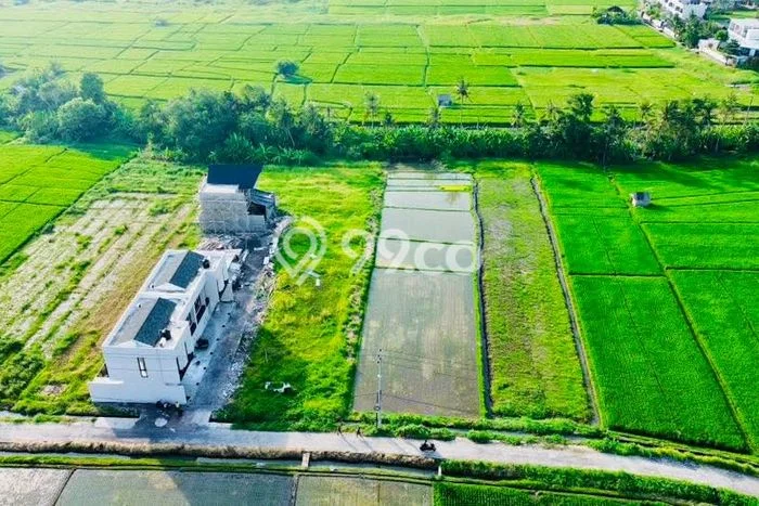 Tanah Disewakan Lokasi Kedungu Tabanan Luas 1600m2 Tanah Disewakan Lokasi Kedungu Tabanan Luas 1600m2