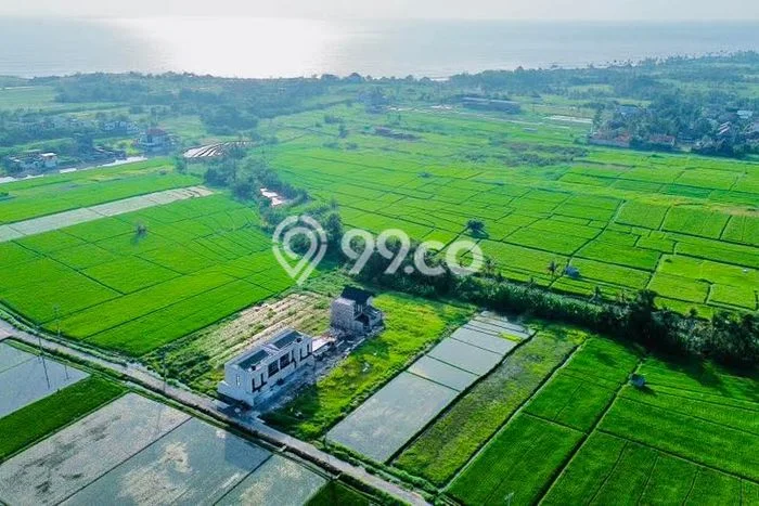 Tanah Disewakan Lokasi Kedungu Tabanan Luas 1600m2 Tanah Disewakan Lokasi Kedungu Tabanan Luas 1600m2