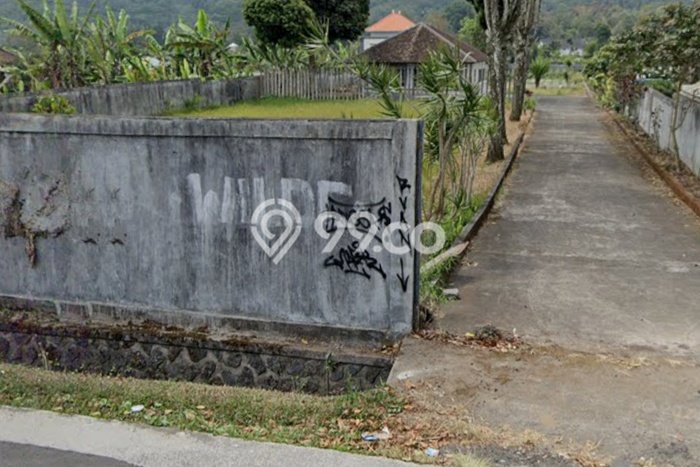 Tanah Kavling Dijual di Pancasari, Buleleng dengan Luas Tanah 5000m2 Tanah Kavling Dijual di Pancasari, Buleleng dengan Luas Tanah 5000m2