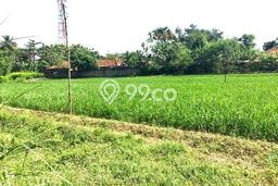 Lahan Kosong Dijual di Karawang dengan Area 83000m2 Lahan Kosong Dijual di Karawang dengan Area 83000m2