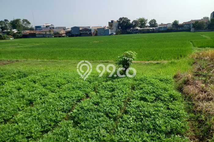 Kavling Tanah untuk Dijual di Subang Kota, Subang, Luas 9860m2 Kavling Tanah untuk Dijual di Subang Kota, Subang, Luas 9860m2