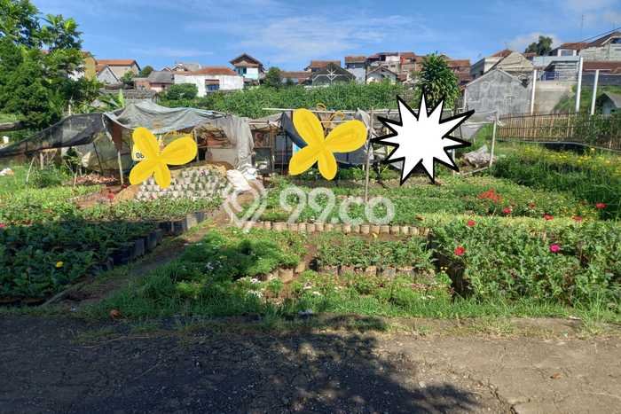 Kavling Tanah Dijual di Lembang, Bandung Barat, Luas 200m2 Area Strategis Kavling Tanah Dijual di Lembang, Bandung Barat, Luas 200m2 Area Strategis