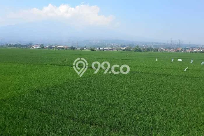 Tanah Komersial Dijual di Soreang Bandung 430m2 Tanah Komersial Dijual di Soreang Bandung 430m2