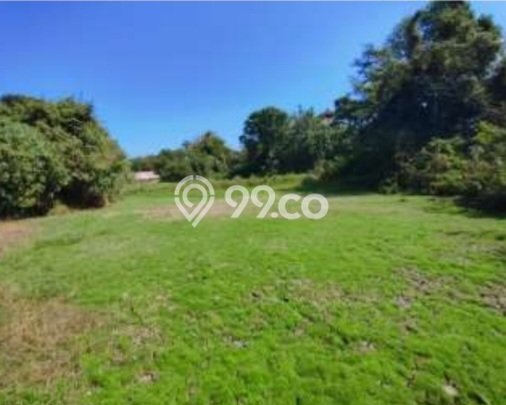 Tanah untuk Dijual di Tabanan Tabanan Luas 44152m2 Tanah untuk Dijual di Tabanan Tabanan Luas 44152m2