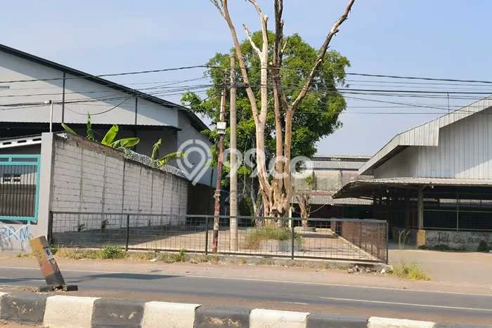 Tanah untuk Disewakan di Arjawinangun Cirebon SHM Tanah untuk Disewakan di Arjawinangun Cirebon SHM