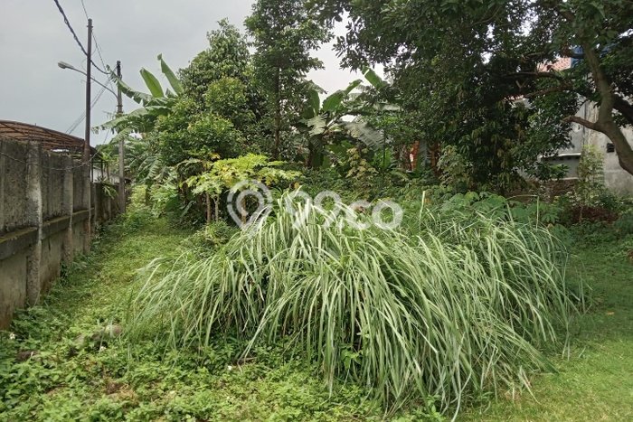 Tanah Kavling di Kramat Jati Dijual dengan Luas 1200m2 Tanah Kavling di Kramat Jati Dijual dengan Luas 1200m2