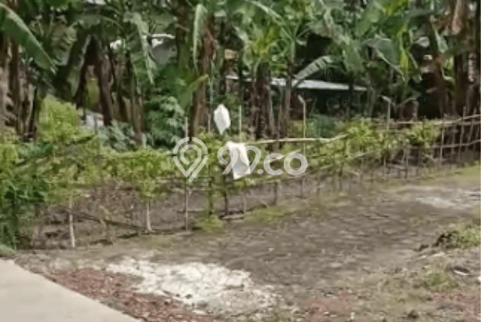 Jual Tanah Pekarangan Siap Bangun Di Kalitirto Berbah Sleman Jual Tanah Pekarangan Siap Bangun Di Kalitirto Berbah Sleman