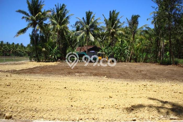 Tanah Di Panjatan Dekat Rsu Kharisma Paramedika Jogja Tanah Di Panjatan Dekat Rsu Kharisma Paramedika Jogja