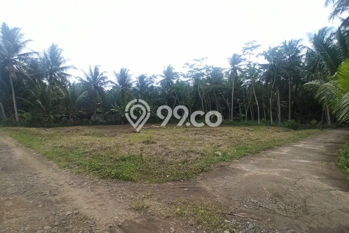 Tanah Di Panjatan Dekat Rsu Kharisma Paramedika Jogja Tanah Di Panjatan Dekat Rsu Kharisma Paramedika Jogja
