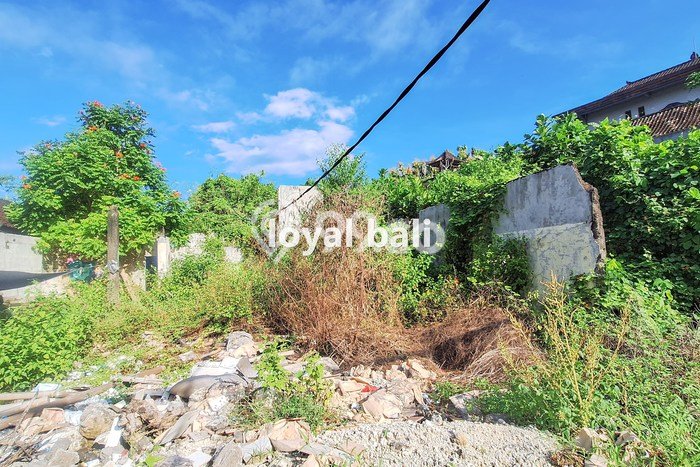 Tanah Investasi Dijual di Badung Punya Luas 1000m2 Tanah Investasi Dijual di Badung Punya Luas 1000m2