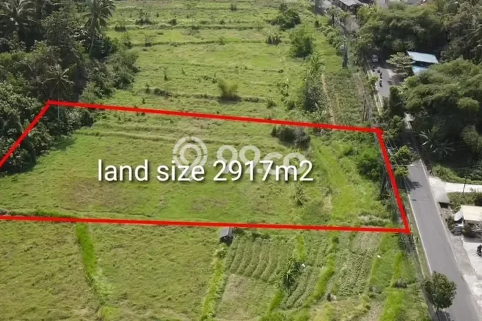 Tanah Siap Pakai Disewakan di Ubud, Gianyar, Luas 2917m2 Tanah Siap Pakai Disewakan di Ubud, Gianyar, Luas 2917m2