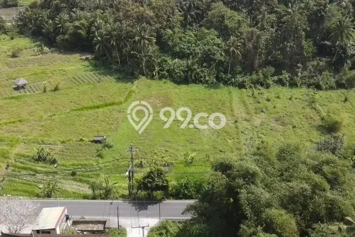 Tanah Siap Pakai Disewakan di Ubud, Gianyar, Luas 2917m2 Tanah Siap Pakai Disewakan di Ubud, Gianyar, Luas 2917m2