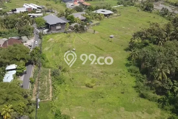 Tanah Siap Pakai Disewakan di Ubud, Gianyar, Luas 2917m2 Tanah Siap Pakai Disewakan di Ubud, Gianyar, Luas 2917m2