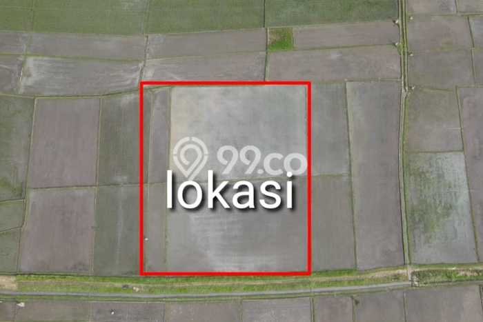 Dijual Tanah Kawasan Kelating, Luas 2520m², Lingkungan Asri, Kontur Rata Dijual Tanah Kawasan Kelating, Luas 2520m², Lingkungan Asri, Kontur Rata