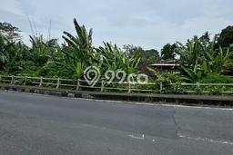 Tanah untuk Dijual Lokasi Ubud, Gianyar Luas 370m2 SHM Tanah untuk Dijual Lokasi Ubud, Gianyar Luas 370m2 SHM