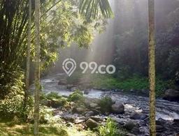 Dijual Tanah di Ubud Gianyar Luas 17562m2 SHM Dijual Tanah di Ubud Gianyar Luas 17562m2 SHM
