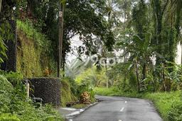Tanah Kavling untuk Dijual di Ubud Gianyar 260m2 Tanah Kavling untuk Dijual di Ubud Gianyar 260m2