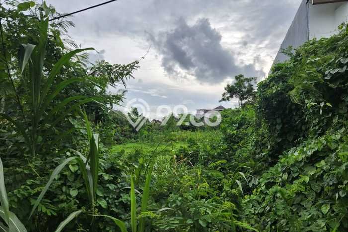 Jarang Ada! Tanah di Kuta Punya Luas 1520m2 SHM Jarang Ada! Tanah di Kuta Punya Luas 1520m2 SHM