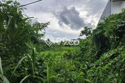 Jarang Ada! Tanah di Kuta Punya Luas 1520m2 SHM Jarang Ada! Tanah di Kuta Punya Luas 1520m2 SHM