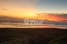 Kavling Tanah Dijual di Tabanan Tabanan Spesifikasi 3660m2 Kavling Tanah Dijual di Tabanan Tabanan Spesifikasi 3660m2