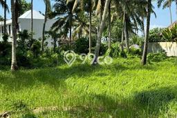 Jarang Ada! Tanah di Ubud Punya Luas 500m2 SHM Jarang Ada! Tanah di Ubud Punya Luas 500m2 SHM