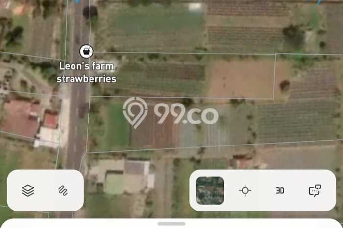 Lahan Kosong Dijual di Buleleng dengan Area 5000m2 Lahan Kosong Dijual di Buleleng dengan Area 5000m2