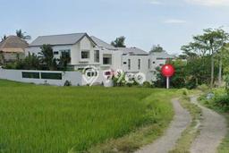 Dijual Tanah Lokasi canggu, Badung Seluas 301m2 Dijual Tanah Lokasi canggu, Badung Seluas 301m2