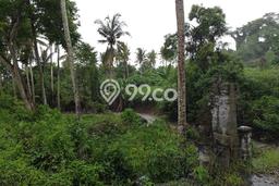 Lahan Dijual Lokasi Tabanan, Tabanan dengan Luas Tanah 4206m2 dan Status SHM Lahan Dijual Lokasi Tabanan, Tabanan dengan Luas Tanah 4206m2 dan Status SHM