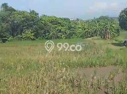 Tanah untuk Dijual Lokasi Kerambitan, Tabanan Luas 1975m2 SHM Tanah untuk Dijual Lokasi Kerambitan, Tabanan Luas 1975m2 SHM