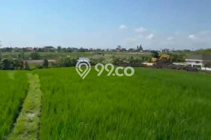 Kavling Tanah di Dalung Dijual Luas 1410m2 Legalitas SHM Kavling Tanah di Dalung Dijual Luas 1410m2 Legalitas SHM