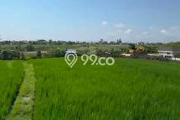Kavling Tanah di Dalung Dijual Luas 1410m2 Legalitas SHM Kavling Tanah di Dalung Dijual Luas 1410m2 Legalitas SHM