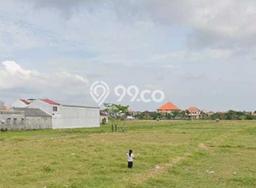 Dijual Tanah 10010m2 di Sesetan, Denpasar Dijual Tanah 10010m2 di Sesetan, Denpasar