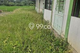 Lahan Investasi Lokasi Ubud Gianyar SHM Lahan Investasi Lokasi Ubud Gianyar SHM