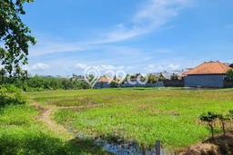 Tanah Kavling untuk Dijual di Seseh Badung 4000m2 Tanah Kavling untuk Dijual di Seseh Badung 4000m2