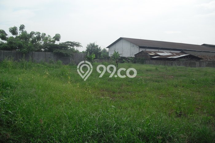 Tanah untuk Dijual Lokasi Kandeman, Batang Luas 40000m2 SHM Tanah untuk Dijual Lokasi Kandeman, Batang Luas 40000m2 SHM