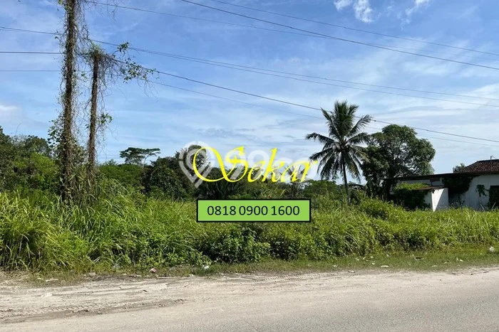 Lahan Investasi Lokasi Maja Lebak - Lahan Investasi Lokasi Maja Lebak -