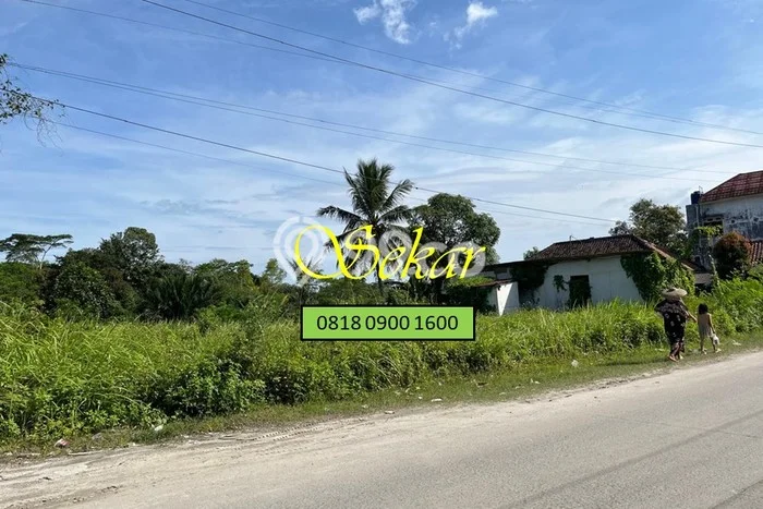 Lahan Investasi Lokasi Maja Lebak - Lahan Investasi Lokasi Maja Lebak -