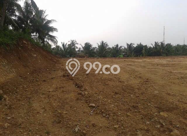 Kavling Tanah Dijual di Kalianda Lampung Selatan Spesifikasi 50000m2 Kavling Tanah Dijual di Kalianda Lampung Selatan Spesifikasi 50000m2