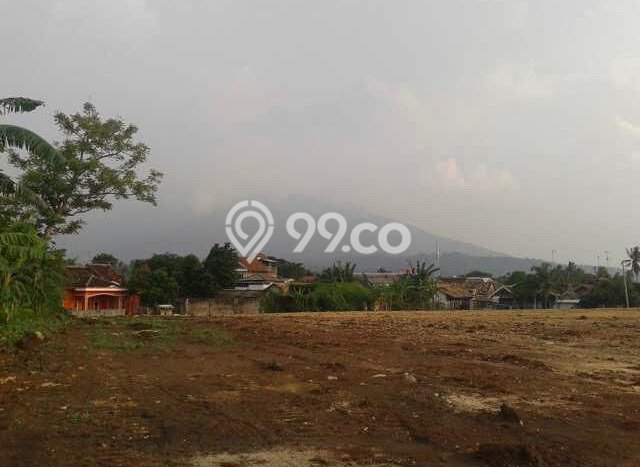 Kavling Tanah Dijual di Kalianda Lampung Selatan Spesifikasi 50000m2 Kavling Tanah Dijual di Kalianda Lampung Selatan Spesifikasi 50000m2