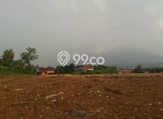 Kavling Tanah Dijual di Kalianda Lampung Selatan Spesifikasi 50000m2 Kavling Tanah Dijual di Kalianda Lampung Selatan Spesifikasi 50000m2
