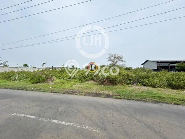 Lahan untuk Dijual di Kaliwungu Kendal Luas 3740m2 Lahan untuk Dijual di Kaliwungu Kendal Luas 3740m2