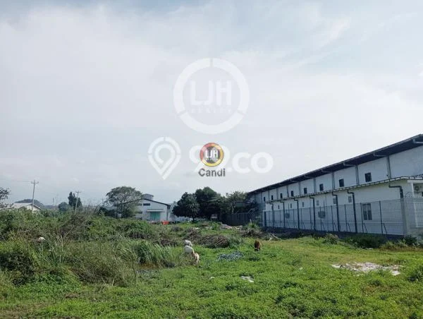 Gudang paling strategis disewakan di Tugu Semarang Gudang paling strategis disewakan di Tugu Semarang
