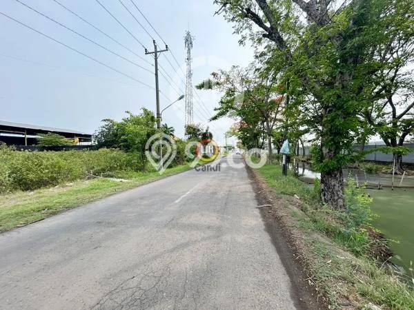 Lahan untuk Dijual di Kaliwungu Kendal Luas 3740m2 Lahan untuk Dijual di Kaliwungu Kendal Luas 3740m2
