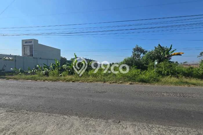 Jarang Ada! Tanah di Juwiring Punya Luas 17195m2 SHM Jarang Ada! Tanah di Juwiring Punya Luas 17195m2 SHM